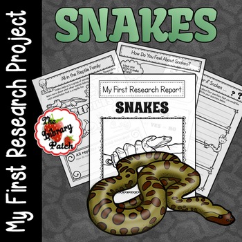 Preview of Snake Research Report