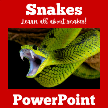 Preview of SNAKES SNAKE Activity PowerPoint REPTILES Science 1st 2nd 3rd 4th Grade