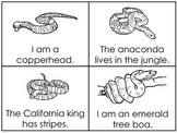 Snakes Early Emergent Reader Child Reading Activity Cards.
