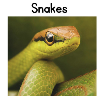 Preview of Snakes Nonfiction Decodable Reader: 1-2 Syllables (Closed, Open, and VCe)