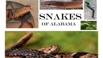 Preview of Snakes of Alabama