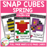 Snap Cubes Activity - Spring