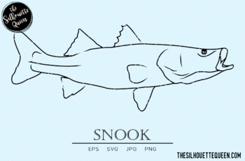 snook clipart