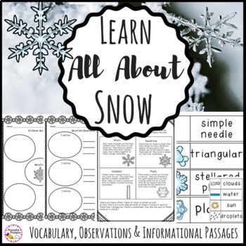 Snow Activities Science and Literacy by PrintablePrompts | TpT