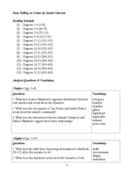 Preview of Snow Falling on Cedars Analysis Questions & Vocabulary