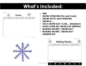 Preview of Snow Graphic Organizer and Activities