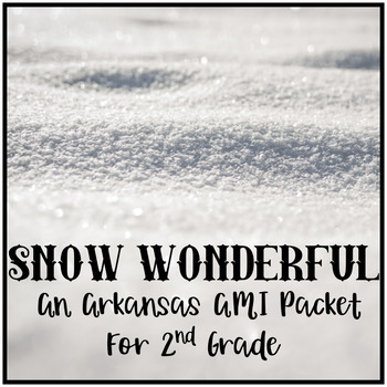 Preview of Distance Learning Snow Wonderful: An AMI Packet or Mini Unit on Snow