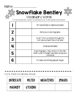 Preview of Snowflake Bentley - Vocabulary Words