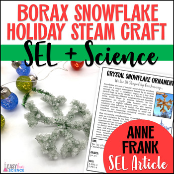 Preview of Snowflake Craft - Borax Crystal Science Christmas or Holiday Ornament with SEL
