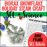 Snowflake Craft - Borax Crystal Science Christmas or Holid