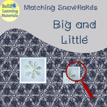 Preview of Snowflake Matching - Big and Small