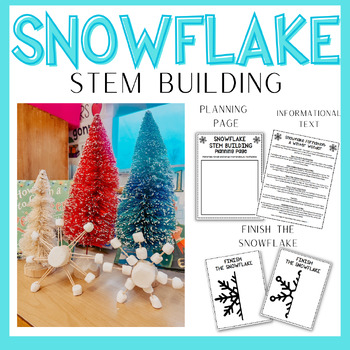Preview of Snowflake STEM building