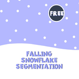 Snowflake Segmentation Winter Reading Activity