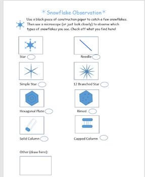 Preview of Snowflake Type Observation Sheet