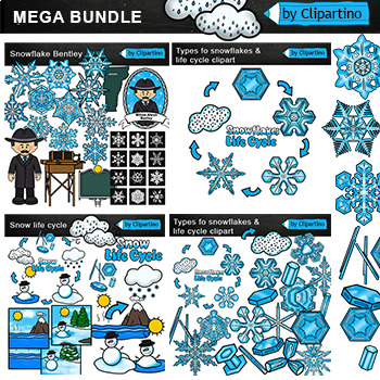Preview of Snowflakes Clip Art Commercial use Bundle /Types of Snowflakes 