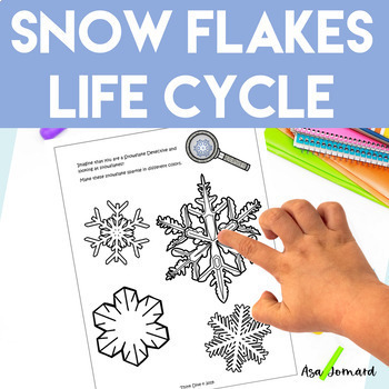 Preview of Snowflakes Activities | Life Cycle | Science | Math | Craft | Nonfiction