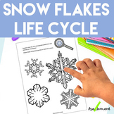 Snowflakes Activities | Life Cycle | Science | Math | Craf