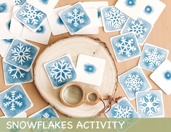 Preview of Snowflakes Study Activity Montessori Winter Snow Visual Cards