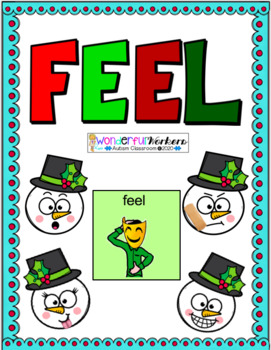 Preview of Snowman "Feel" Core Vocabulary Adapted Book