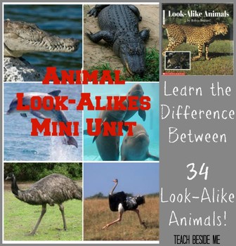 Preview of Look Alike Animals Mini-Unit