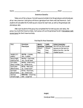 Preview of Snowman Genetics - Punnet Squares