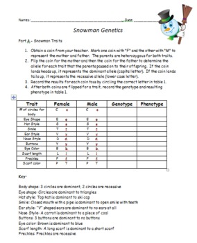 Snowman Genetics (with optional extension activity) by MrsFitz | TpT