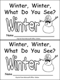 Winter, Winter, What Do You See? Kindergarten Emergent Rea