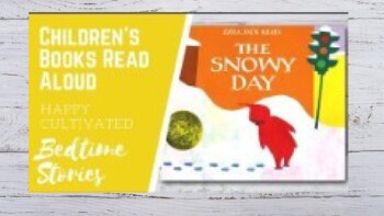Preview of Snowy Day Winter Read Aloud and Questions