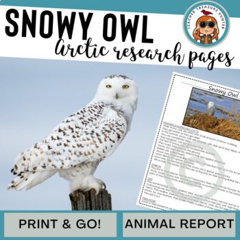 Snowy Owl Animal Research Page Arctic Animal Reports 1st 2nd 3rd