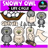 Snowy Owl Clip Art Set {Educlips Clipart}