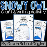 All About Snowy Owls, Arctic Animal Owl Winter Craft & Res