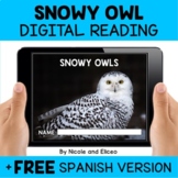 Snowy Owl Reading Comprehension for Google Classroom - Dis