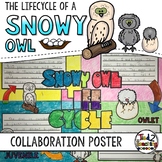 Snowy Owl Life Cycle Activity: Collaborative Research Poster