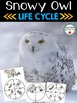 Snowy Owl Life Cycle Wheel and Poster Set by Sarah Tighe | TPT