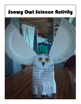 Preview of Snowy Owl Science Activity Craft