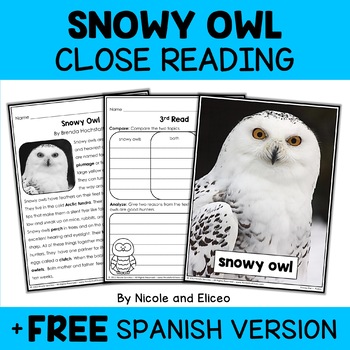 Preview of Snowy Owl Close Reading Comprehension Passage Activities + FREE Spanish