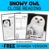 Snowy Owl Close Reading Comprehension Passage Activities +
