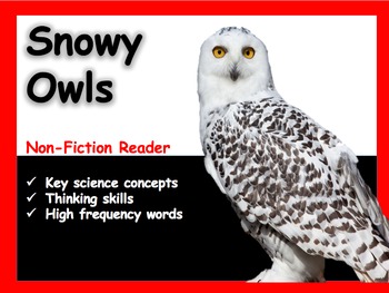 Snowy Owls by Homeschool TV Academy | Teachers Pay Teachers