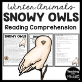 Snowy Owls Informational Text Reading Comprehension Worksh