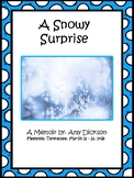 Snowy Surprise - A Memoir Exemplar