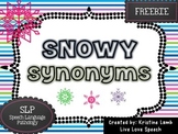 Snowy Synonyms {FREEBIE}