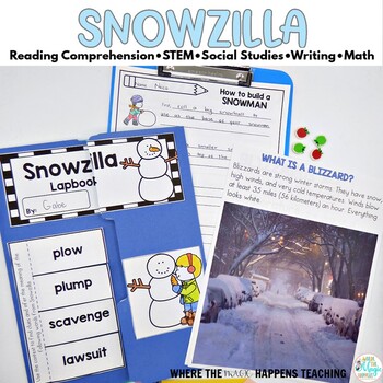 Preview of Snowzilla Activities, Reading comprehension, winter