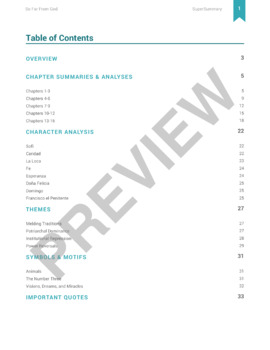 So Far From God Literature Guide by SuperSummary TPT