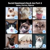 Social Emotional Wellness Check-Ins Parte 3: Perros, Gatos