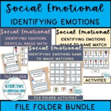 Social Emotional Identifying Emotions/Feelings File Folder