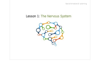 Preview of Social-Emotional Learning Lesson 1: The Nervous System