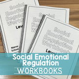 Social Emotional Regulation Workbooks