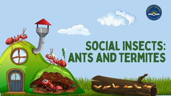 Preview of Social Insects: Ants/Termite Lesson Presentation – K7,L5 2nd Grade CKLA, Amplify