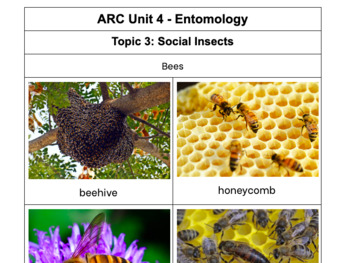Preview of Social Insects/ Life Cycle Picture Cards - ARC K Unit 4: Entomology, Topic 3: 
