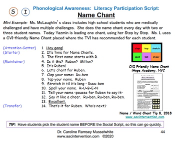 Social Scripts Literacy Supporting Emergent And Transitional Learners